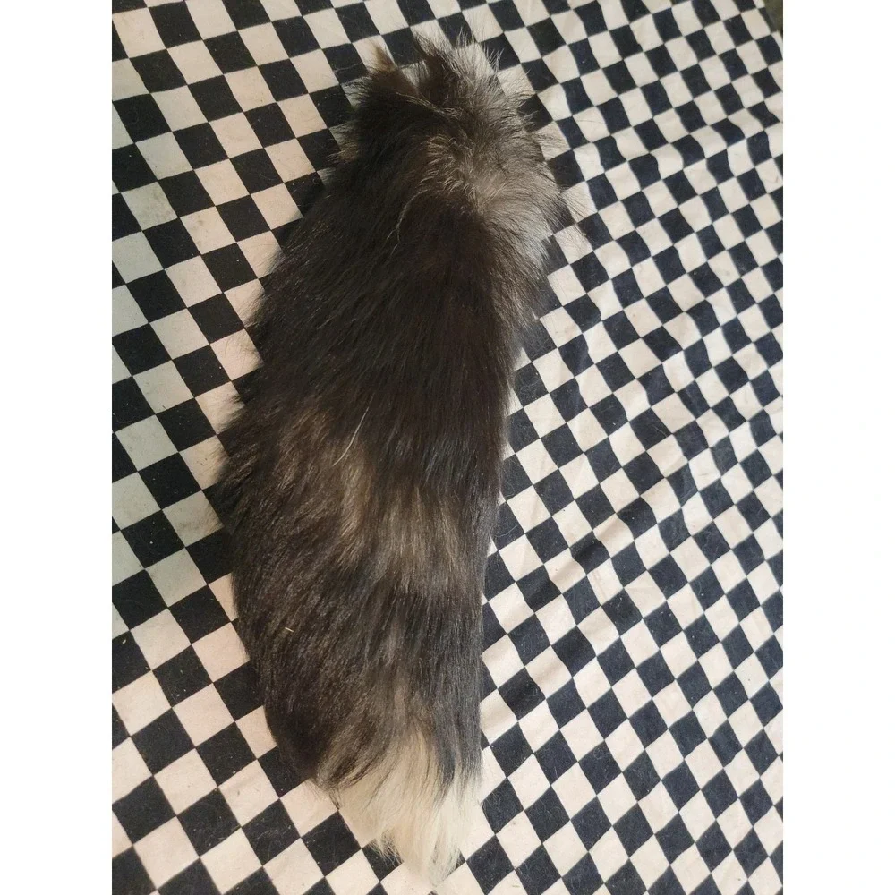 Real Fox Fur Tail – FULL LENGTH | Tanned | Bushy w/ White Tip | Craft / Fly...